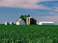 Royal LePage South Country Real Estate Services