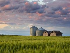 Okanagan Farms and Acreages