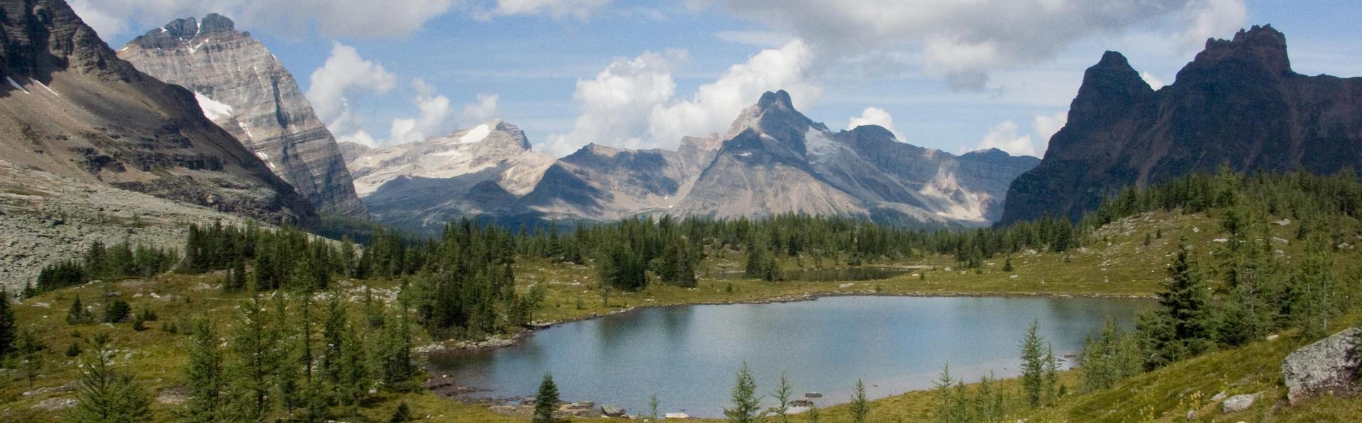 Home Real Estate Homes for sale Royal LePage Rocky Mountain Realty